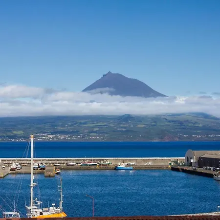 Baia Dos Golfinhos Horta *
